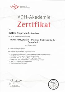 VDH_Akademie